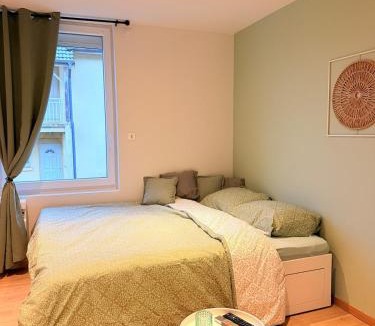 Cravanche Apartment | T2 souplex idéalement situé proche Techn'hom
