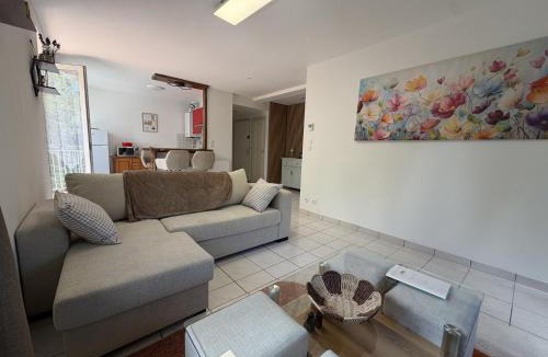 Vals-pres-le-Puy Apartment | The Reflection of the Dolaizon