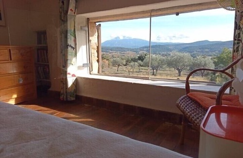 Roaix House | The Roaix olive grove