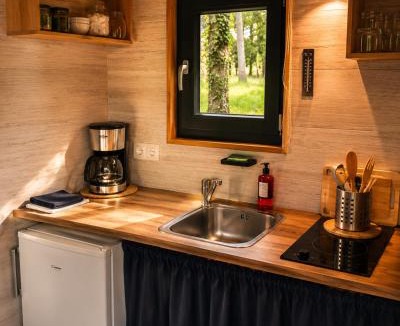 Arsac-en-Velay Other | Tiny house cosy au cœur des bois