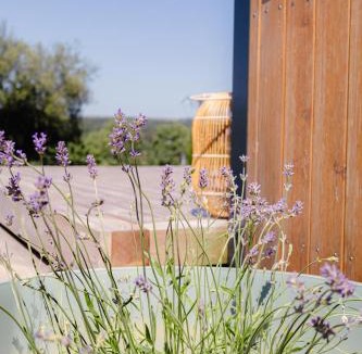 Vesoul Agglomeration Cabin | Tiny House - Nature&calme - Pétanque&barbecue