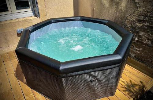 Scey-sur-Saone-et-Saint-Albin Apartment | Très bel appartement avec jardin et Jacuzzi
