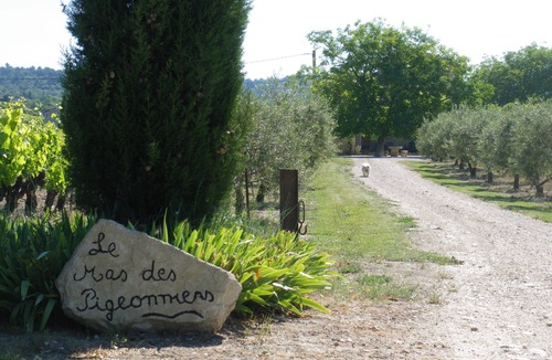 Mazan House | Traditional Provencal gite, offering quietness and serenity