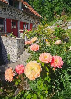 Le Monteil Bed & Breakfast | un petit coin paisible et frais - piscine à 3 mins