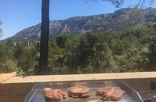 Taillades Villa | VERY LARGE VILLA IN LA PINEDE AT THE FOOT OF LUBERON