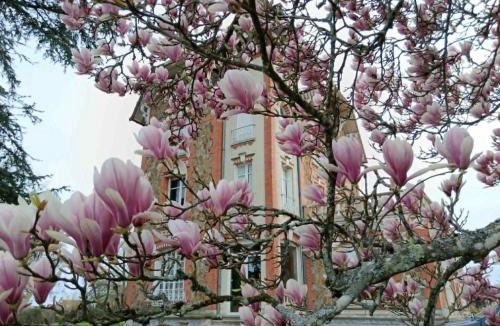 Cronat Bed & Breakfast | Villa du Sauzin