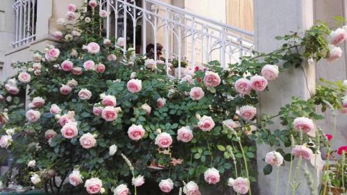 Contrexeville Bed & Breakfast | Villa Hestia B&B de charme dans une villa historique face aux thermes