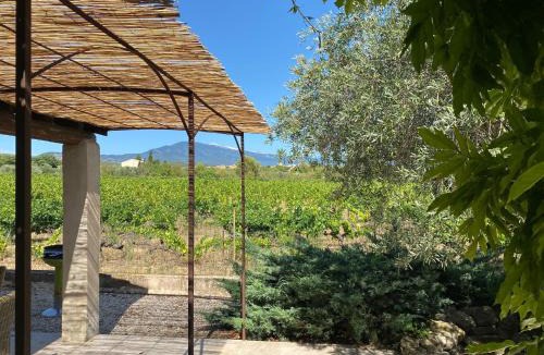 Caromb Villa | Villa Les Oliviers