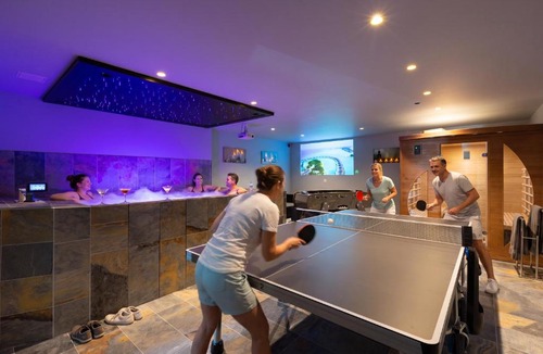 Ittenheim Villa | Villa Lion - SPA Privé, Climatisation, Sauna, Borne d'arcade, Babyfoot