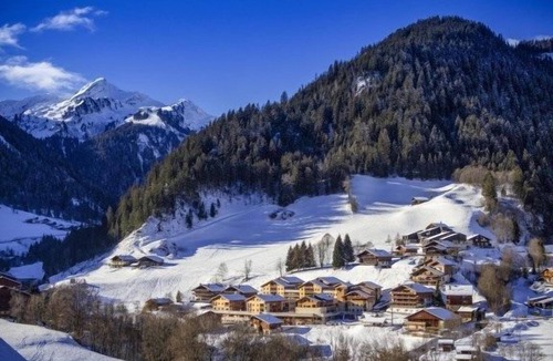 Beaufort Condo | Vos Prochaines Vacances de Ski | Appart Confortable avec Cuisine