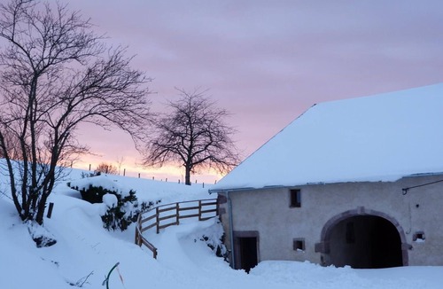 Corravillers Cottage | Vosges Lodge: nature, fireplace, pets allowed