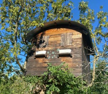 Dommartin-les-Cuiseaux Bed & Breakfast | vue et accès piscine chambre d hôte ,"tipi" et" cabane" ferme Bressane