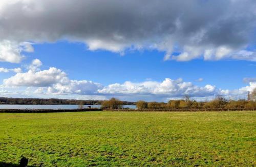 Bazolles House | Vue sur l'étang et les vaches
