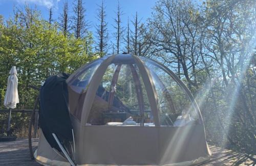 Champfromier Other | Wigwam et Dôdome sous les étoiles