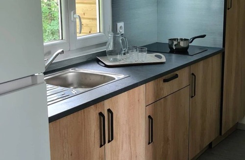 Reyrevignes Ski Chalet | ZEcamping 3* familial piscine chauffée animaux acceptés chalet TV BBQ