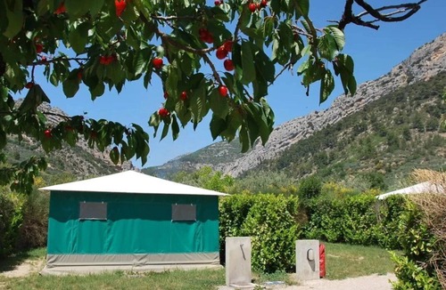 Buis-les-Baronnies House | ZEcamping 3* animé piscine animaux acceptés hammam mobil-home 21m2