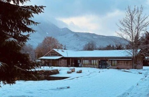 Chezery Forens Ski Chalet | ZEcamping 3* toboggans chalet 40m2 6 pers
