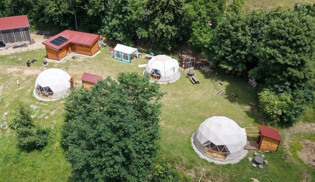 3 Domes: The Mush's Rooms Alpacas and Starry Nights