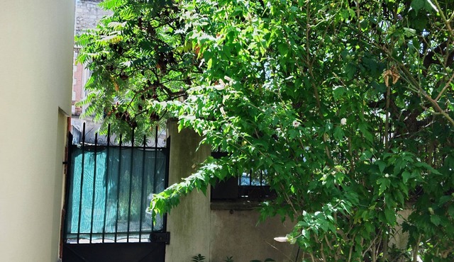 60m2 south-facing house on the outskirts of PARIS