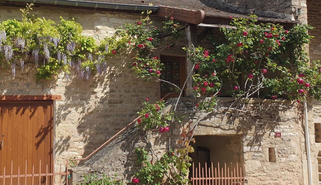 A small winemaker's cottage in a quiet setting in the heart of the Cluny countryside,