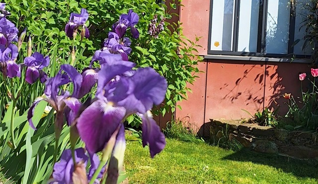 Accommodation in the Heart of the Nantes Vineyard - Near Clisson in Mouzillon