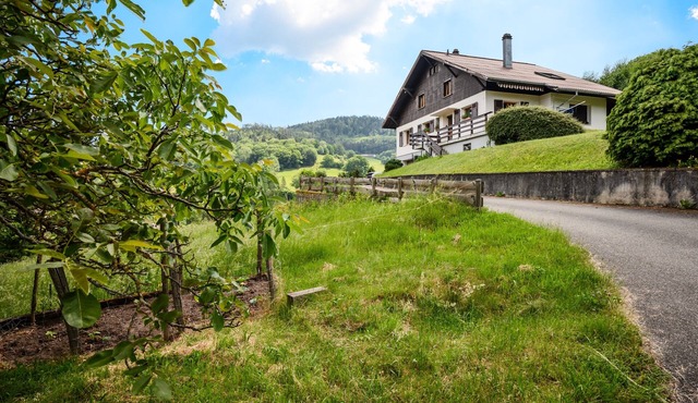 Apartment “Au Petit Chamois” with Mountain View, Private Garden and Wi-Fi
