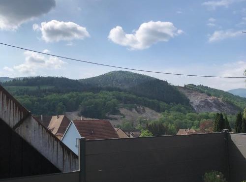 appartement Vintage a l ancienne forge
