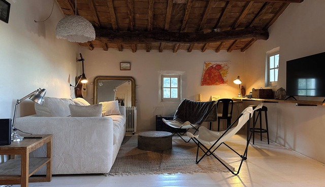 Artist's house in Provence