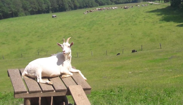 Au Doubs Repos