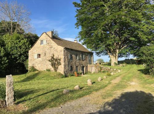 Aubrac de Lozère
