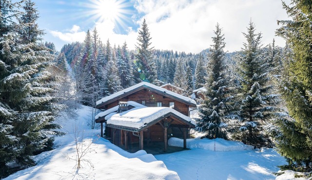 Authentic Chalet LEA 2-Star- Courchevel, La Tania - Heart of the Forest -Jacuzzi