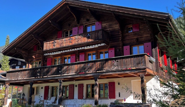 Authentic charming chalet 4-6 people in Grindelwald