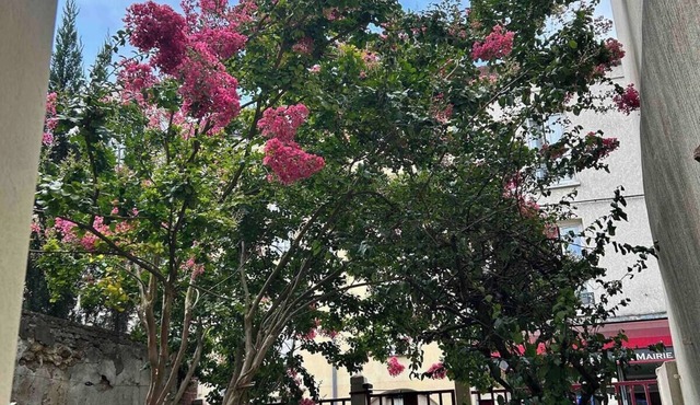 Beautiful F2 Downtown Massy with garden