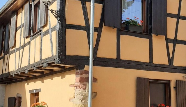 Beautiful holidays in Alsace, near Colmar - gîte de la Muse