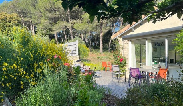 Beautiful house in the heart of its pine forest - private pool