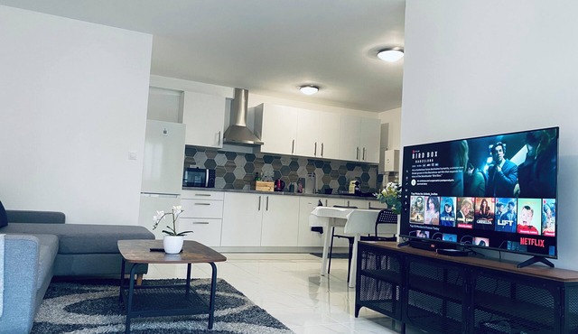Bel Appartement Parisien F3/56m2: 2 Chambres+3 Lits+parking »paris»orly