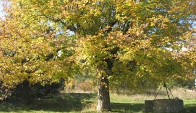 Bergerie des Marquisans - 5 people, in the heart of nature, 2 km from AUREL.