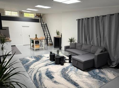 Bright loft with terrace and air conditioner