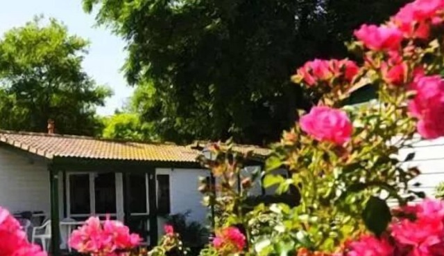 Camping Les Gros Joncs ***** - Chalet for 4 People