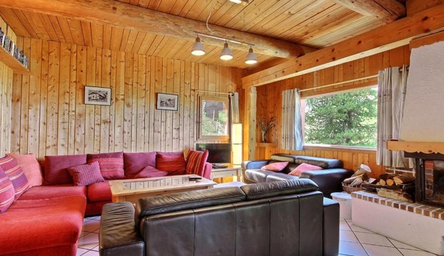 Chalet 15 personnes, proche pistes, 7 chambres, La Plagne - FR-1-455-158