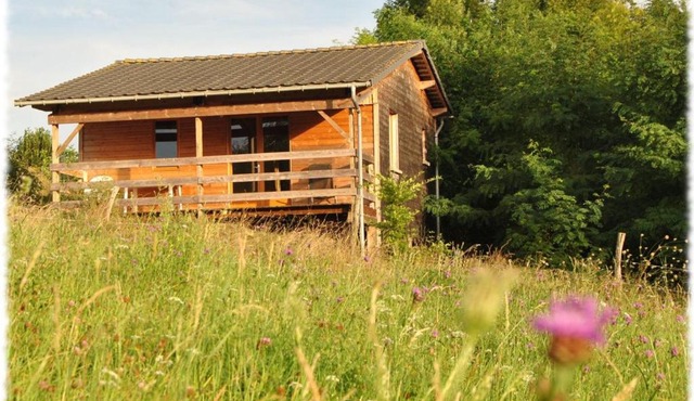 Chalet au calme avec terrasse, acceptant les animaux, parking et Wi-Fi inclus - FR-1-584-108