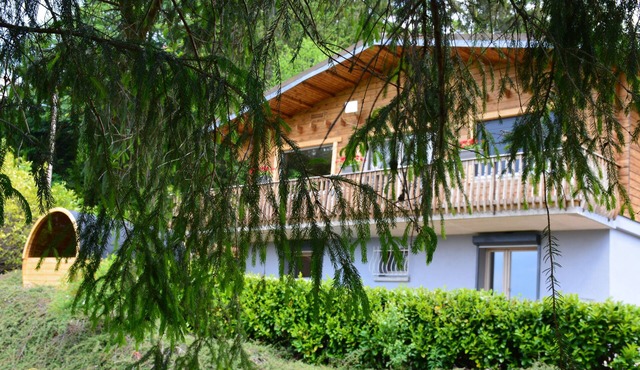 Chalet BAMBI in GÉRARDMER for unforgettable holidays