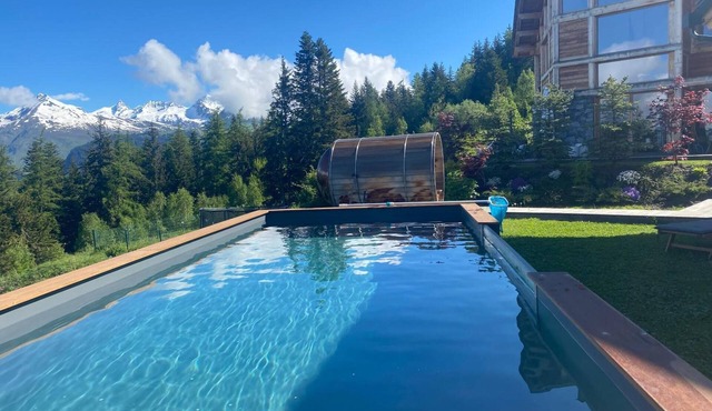 Chalet 'Béla Vya - 0' with Mountain View, Private Pool and Wi-Fi
