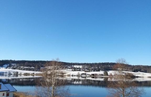 CHALET-MICHEL avec SPA