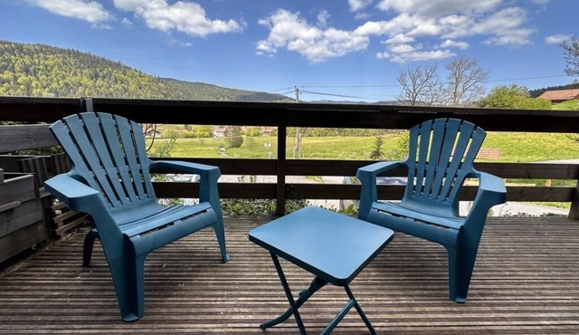 Chalet O TREMPLIN - BBQ/parking/WIFI - 5min from GERARDMER
