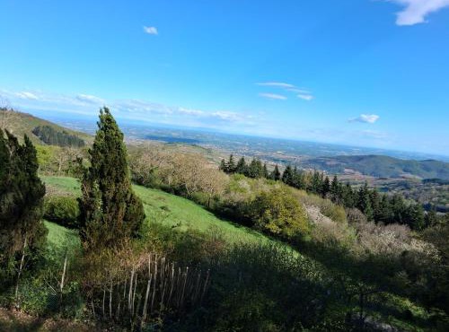 Chalet Panoramique