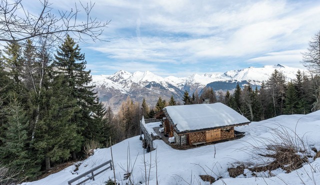 Chalet 'Plan Devin' with Mountain View, Private Terrace and Private Garden