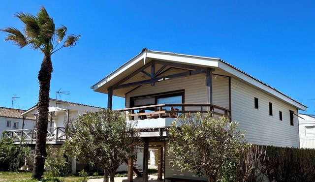 Chalet spacieux,grande terrasse exposée Est/sud, beaux espaces pour les familles