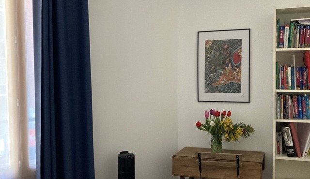 Chambre Grand Confort, Dans Maison, Avec Jardin et Terrasse, Paris Centre