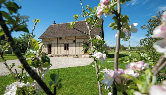 Champ Chignard - ALLEREY-SUR-SAONE